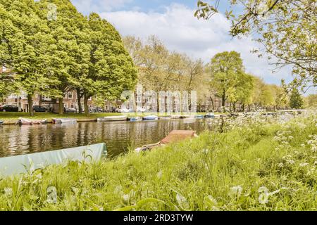 Einige Boote auf dem Wasser vor Häusern und Bäumen mit grünem Gras, das am Flussufer wächst, amsterdam, niederlande Stock Photo Stockfoto