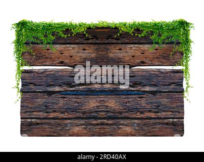 Dunkelbrauner antiker Plankenrahmen mit tropischen Blättern und Kletterreben am Rande der Planke. Stockfoto