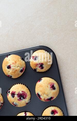 Hausgemachte Muffins mit schwarzer Johannisbeere in schwarzem Kuchenform. Köstliches Beerengebäck. Sommerdessert. Draufsicht. Stockfoto