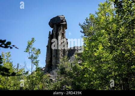 Kappensäulen, Les Demoiselles Coiffées, Le Sauze-du-Lac, Gap, Hautes-Alpes, Provence-Alpes-Cote d’Azur, Frankreich Stockfoto