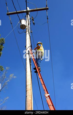 Der Techniker arbeitet an Telefon- und Kabelleitungen an einem hohen Telefonmast. Er steht auf einer 30 Fuß-Leiter und trägt Sicherheitsgurt, Sicherheitsweste und h Stockfoto