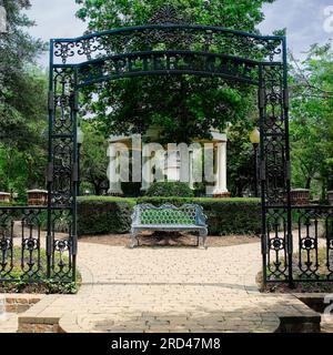 St. Peter's Gate Park mit einer Bank. Ein guter Ort zum Ausruhen und Genießen der Natur. Stockfoto