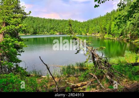 Sommerlandschaft am Ufer des smaragdgrünen Bergsees in dichtem Nadelwald. Wundervolle Sommerlandschaft - Märchen der wilden Natur Stockfoto