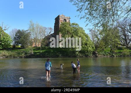 Der Fluss Severn und die St. EATA-Kirche im Dorf Atcham, Shropshire, England. Kinder, die mit dem Hund im Wasser spielen Stockfoto