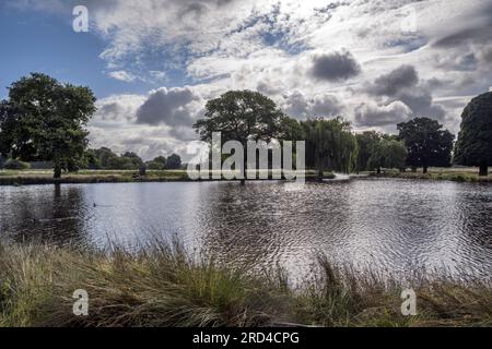 Dramatische Regenwolken bilden sich am frühen Morgen im Juli über den Bushy Park Teichen Stockfoto