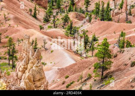 Blick vom Sunrise Point in Bryce Canyon Utah an einem wunderschönen Sommertag. Stockfoto