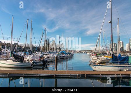 Marina in der Nähe von Charleson Park und Granville Island. Wunderschöner Tag. Viele Boote, blauer Himmel, schöne Reflektionen. Bild mit guter Atmosphäre. Stockfoto