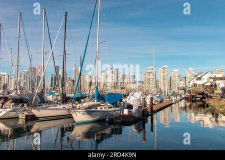 Marina in der Nähe von Charleson Park und Granville Island. Wunderschöner Tag. Viele Boote, blauer Himmel, schöne Reflektionen. Bild mit guter Atmosphäre. Stockfoto