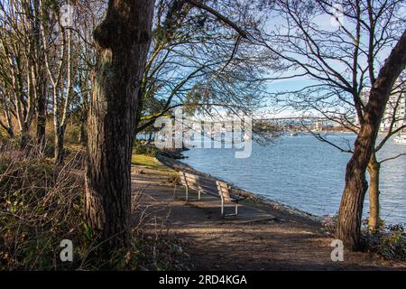 Bank im Park mit Blick auf den Creek ohne Leute, Vancouver, Kanada Stockfoto