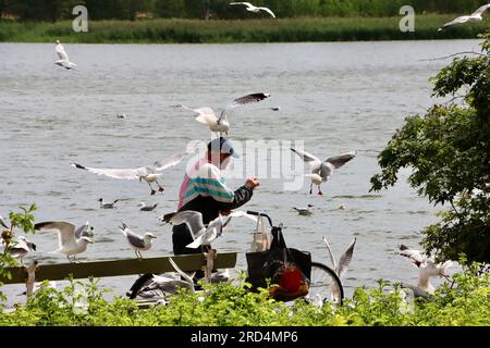 Mann mit Fahrrad fütterten Vögeln in der Bucht von Tööuti am 2023. Juli im Zentrum von Helsinki, Finnland Stockfoto