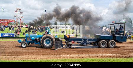 Tractor Pulling Stockfoto