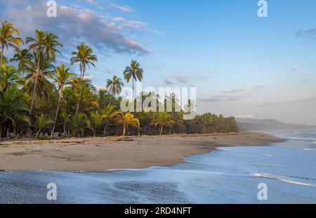 Wunderschöner karibischer Strand. Costeno Strand an der Karibikküste Kolumbiens Stockfoto