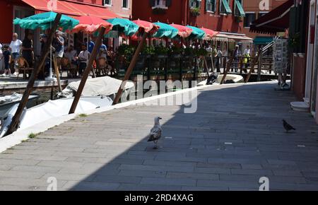 Burano Island gehört zu den zehn farbenprächtigsten Städten der Welt Stockfoto