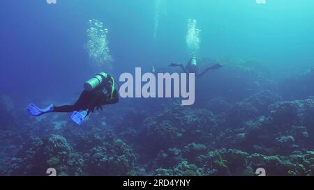 Eine Gruppe von Tauchern schwimmt in der Tiefe neben dem Korallenriff an hellen sonnigen Tagen, Hintergrundbeleuchtung (Contre-jour), Rückansicht, Rotes Meer, Safaga, Ägypten Stockfoto