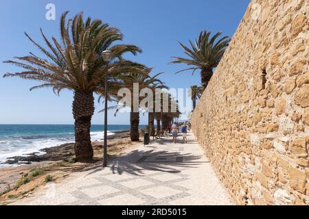 Palmen und historisches römisches Mauerwerk an der Strandpromenade in Praia da Luz, Bezirk Faro, Algarve, Portugal Stockfoto