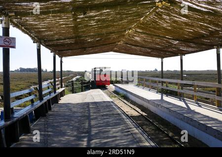 Tavira, Portugal - 20. Oktober 2022: Touristenzug zum Strand Praia do Barril auf der Insel Tavira, Portugal Stockfoto