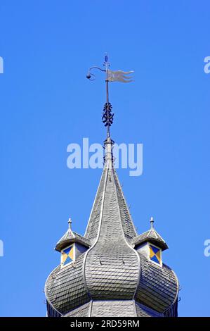 Spire mit Wetterfahne, Doorwerth Castle, Doorwerth, Renkum, Niederlande, Windrichtungsanzeiger Stockfoto