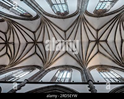 Gotische Rippengewölbe aus der Sicht von unten in der historischen Basilika der Heiligen Dreifaltigkeit, Krakau Polen Stockfoto