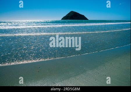 Rock im Pazifik, Tolaga Bay, East Cape, North Island, Neuseeland, Pazifik Stockfoto