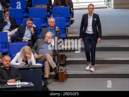 Dr. Alice Weidel, links, dritte Reihe: Dr. Alexander Gauland, Deutschland, Berlin, 06.07.2023, Bundestag, Bundestagsfraktion AfD Stockfoto