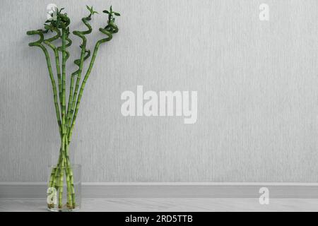 Vase mit wunderschönen grünen Bambusstämmen auf dem Boden im Innenbereich Stockfoto