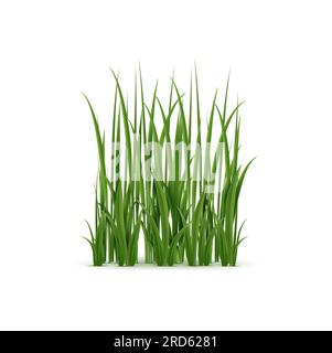 Realistisches Gras, üppig grüne Klingen mit weicher Struktur. Die isolierte 3D-Vektorbodenabdeckung bietet eine friedliche, natürliche Umgebung in verschiedenen Umgebungen wie Wiesen, Gärten und Parks Stock Vektor