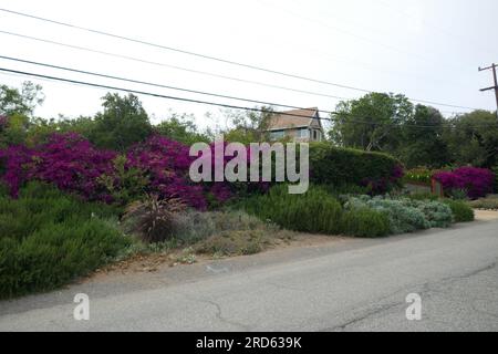 Malibu, Kalifornien, USA 16. Juli 2023 Red Hot Chili Peppers Singer/Musiker Anthony Kiedis Heim/Haus in Malibu, Kalifornien, USA. Foto: Barry King/Alamy Stock Photo Stockfoto