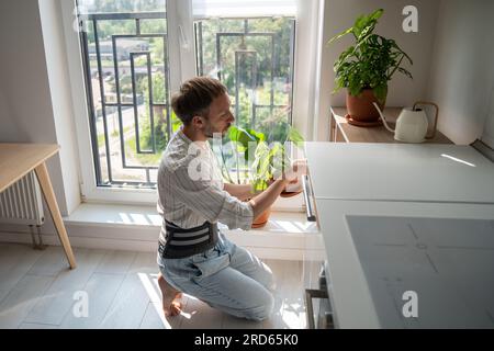 Junger Mann mit Rückenstützgurt, der sich zu Hause um Zimmerpflanzen kümmert Stockfoto