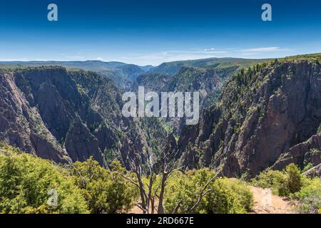 Black Canyon in der Wildnis Gunnison in Colorado Stockfoto