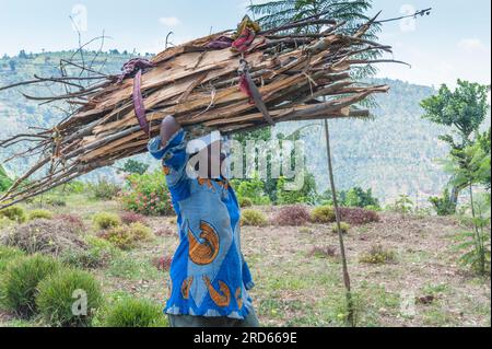 Blick von der Fahrt durch Ruanda von Kigali zur Sabyinyo Silverback Lodge im Volcanoes-Nationalpark in Ruanda, in Afrika. Stockfoto