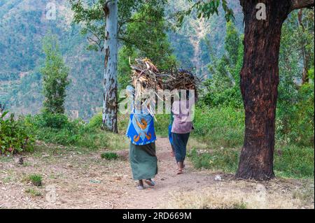 Blick von der Fahrt durch Ruanda von Kigali zur Sabyinyo Silverback Lodge im Volcanoes-Nationalpark in Ruanda, in Afrika. Stockfoto