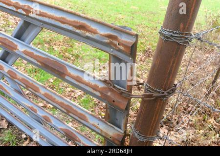 Ein altes Metalltor wird von einer Kette geschlossen gehalten, die mit einem rostigen Zaunpfahl aus Metall auf einer Viehzucht im ländlichen Missouri, MO, USA, USA, verbunden ist. Stockfoto