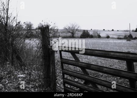 Ein leicht geöffnetes Metalltor auf einer Rinderfarm im ländlichen Missouri, MO, USA, USA. Schwarzweißfoto. Stockfoto