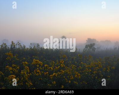 Misty und Foggy am Morgen in der Prärie im Spätsommer August Stockfoto