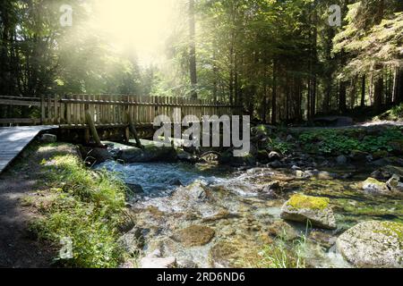 Holzbrücke im Wasserweg im kleinen Zug des nambrone-Tals Stockfoto