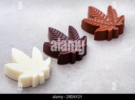 CBD-Pralinen. Köstliche stimmungsvolle Speisen, Desserts und Leckereien mit dem gewissen etwas. Dunkle, Milch- und weiße Schokolade auf grauem Hintergrund Stockfoto