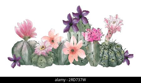 Aquarell-Kaktus-Sammlung isoliert auf weißem Hintergrund. Handgezeichnete Blume. Stockfoto
