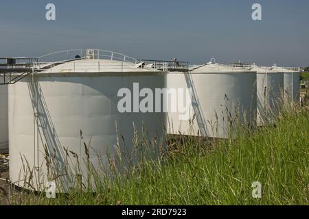 Öllagertanks im Depot im Hafen und Hafen in Shoreham, West Sussex, England. Keine Menschen. Keine Logos oder Namen. Stockfoto