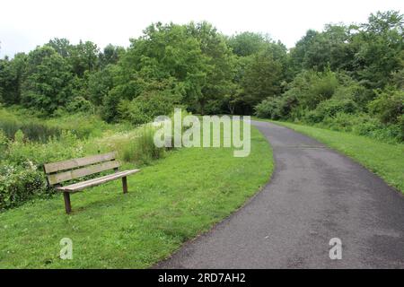 Leere Bank neben der grünen Fußgängerzone Stockfoto