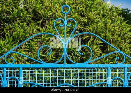 Schmiedeeiserne und blau lackierte Gartentore aus Stahl mit Sträuchern im Hintergrund Stockfoto