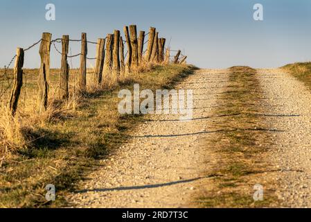 Ländliche Szene mit Landweg gesäumt von einem rustikalen Zaun im warmen Abendlicht, Weserbergland, Deutschland Stockfoto