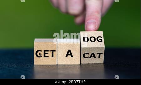 Die Hand dreht den Holzwürfel und ändert den Ausdruck „eine Katze holen“ in „einen Hund holen“. Stockfoto