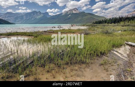 Blick auf den Hector Lake und weit entfernte Einwohner im Banff National Park, Alberta, Kanada Stockfoto