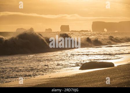 Kraftvolles Surfen am Strand von Reynisfjara kurz vor Sonnenuntergang, mit den Klippen von Dyrhólaey im Hintergrund, Island, in der Nähe von Vík í Mýrdal und Route 1 Stockfoto