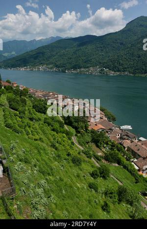 MORCOTE, SCHWEIZ. Überblick über das Dorf am Ceresio See Stockfoto