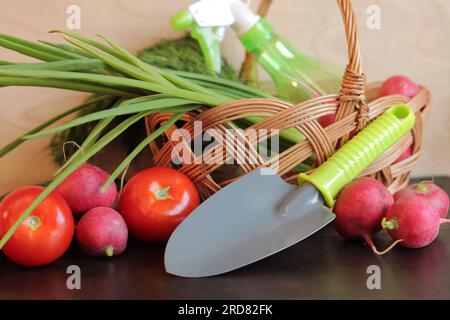 Set mit frischem Gemüse in einem Korb Nahaufnahme. Handschaufel für den Garten, Sprühflasche für Pflanzen, Korb und Gemüse. Sommer h Stockfoto