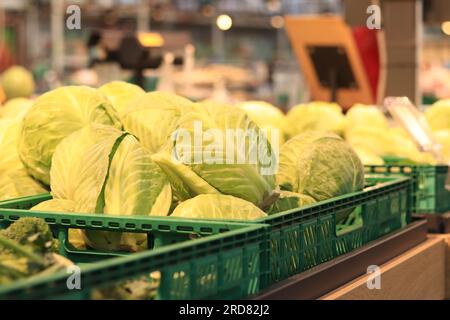 Weißkohl im Laden, Nahaufnahme. Kohlhaufen auf den Regalen des Supermarkts. Lebensmittelgeschäft. Biologisches natürliches Gemüse auf dem Markt. Gemüse s Stockfoto