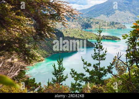 Vom Queen Charlotte Track, einem der beliebtesten Wanderwege Neuseelands, haben Sie einen Blick über den Te Mahia Bay of Kenepuru Sound Stockfoto