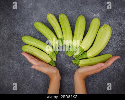 Weibliche Hände halten Zucchini, grünes Gemüse auf dem lokalen Bauernmarkt frisch geerntete Zucchini, Sommerkürbis. Roh in Salaten oder gekocht, extrem vielseitig, zart und einfach in vielen leichten Gerichten zu verwenden Stockfoto