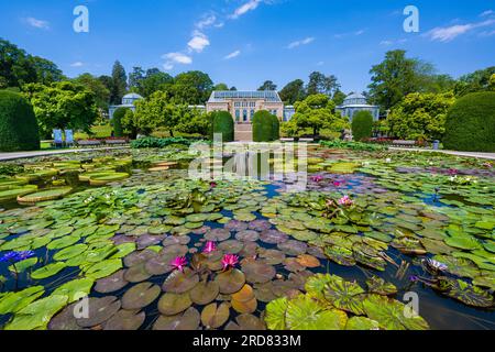 Seerosenteich Wilhelma Zoologischer-Botanischer Garten, Wilhelma, Stuttgart, Baden-Württemberg, Deutschland, Europa Stockfoto